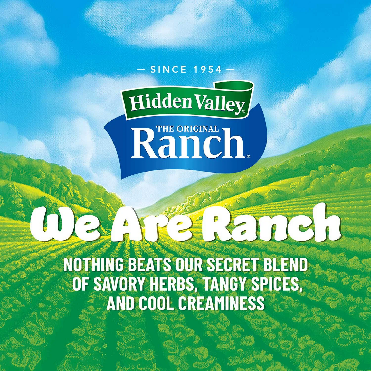 Hidden Valley Avocado Ranch Salad Dressing & Topping – 473 mL