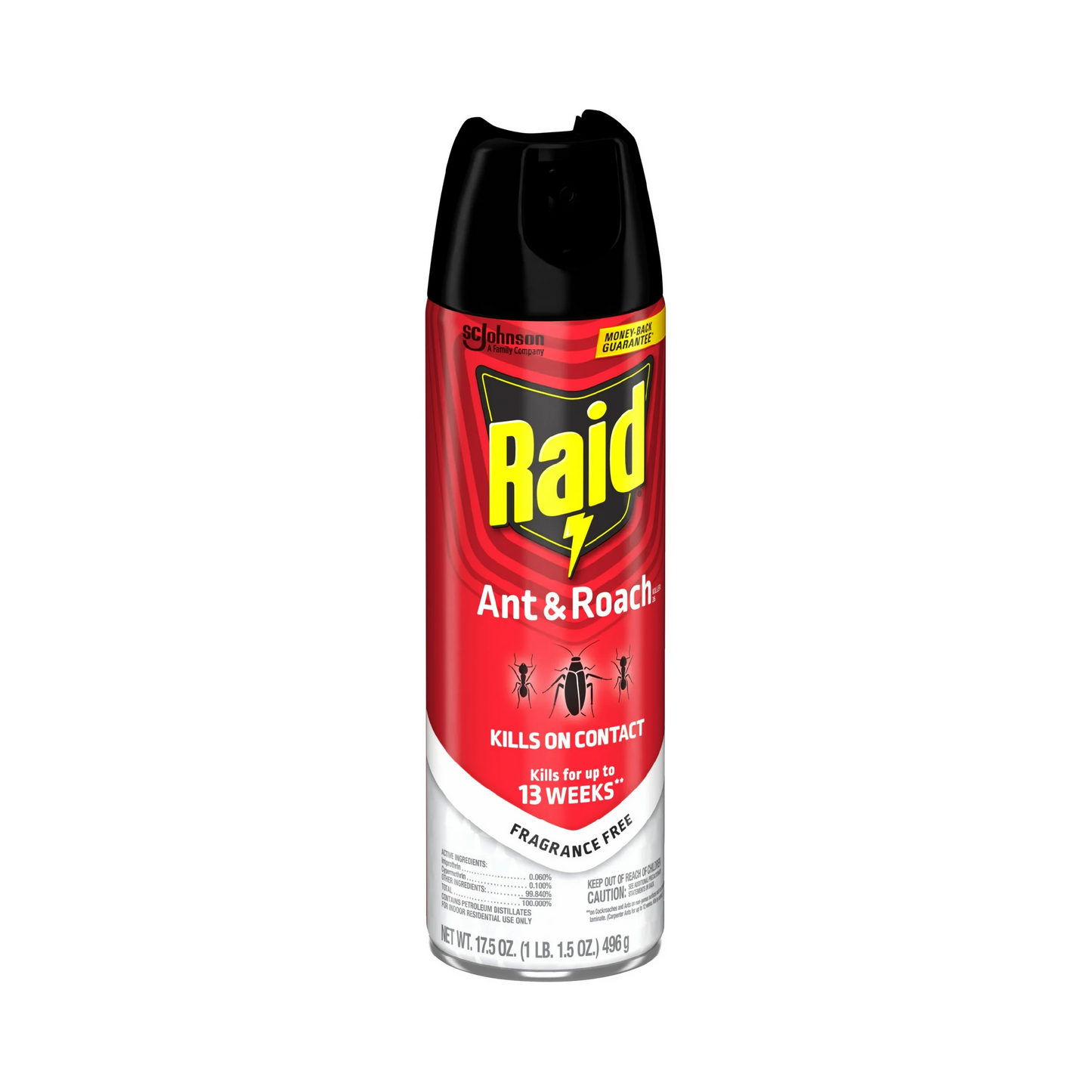 Raid Ant & Roach Killer – 496 g