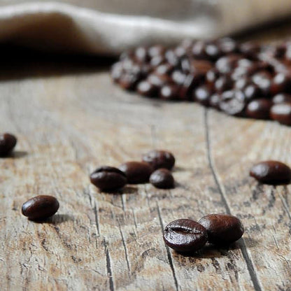 San Francisco Bay French Roast Coffee Bean – 3 lb