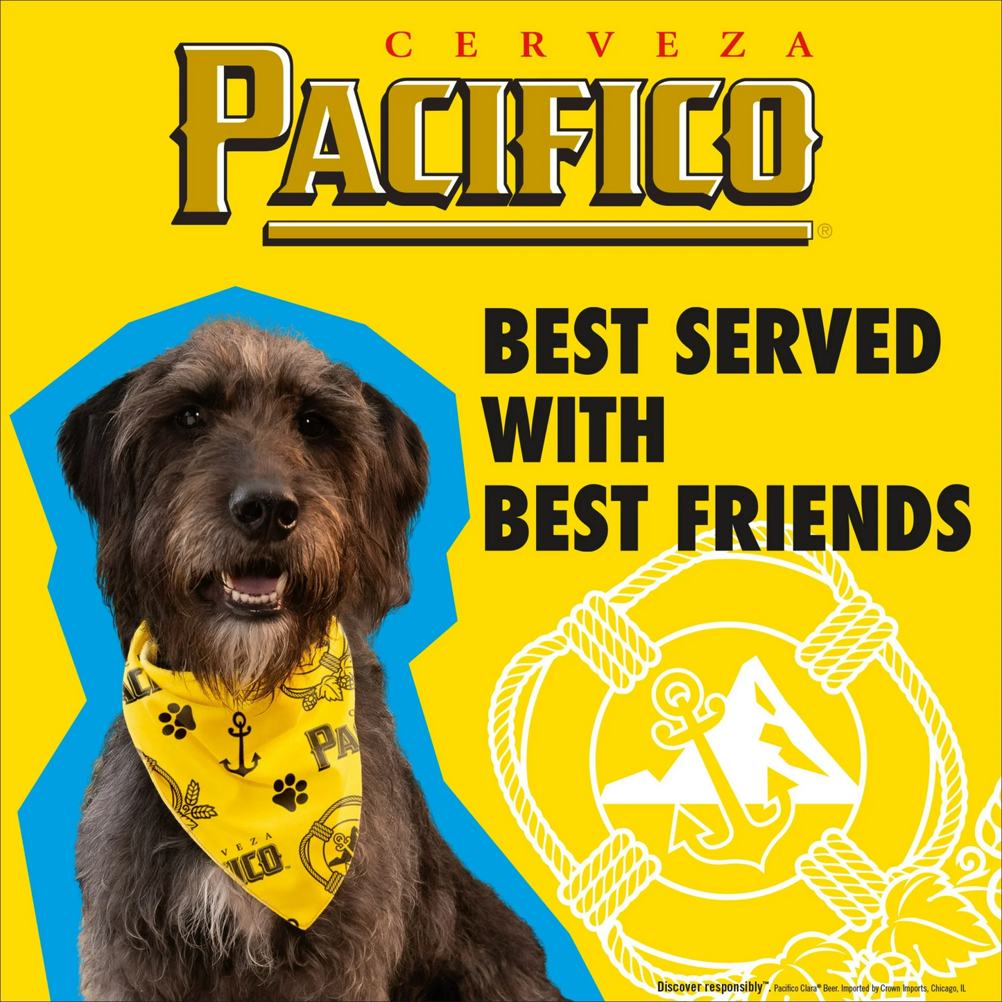 Pacifico Clara Mexican Lager Beer – 355 mL