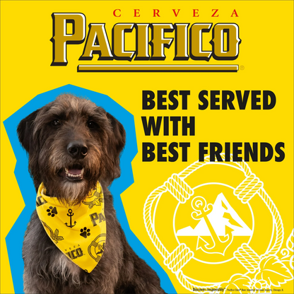 Pacifico Clara Mexican Lager Beer – 355 mL