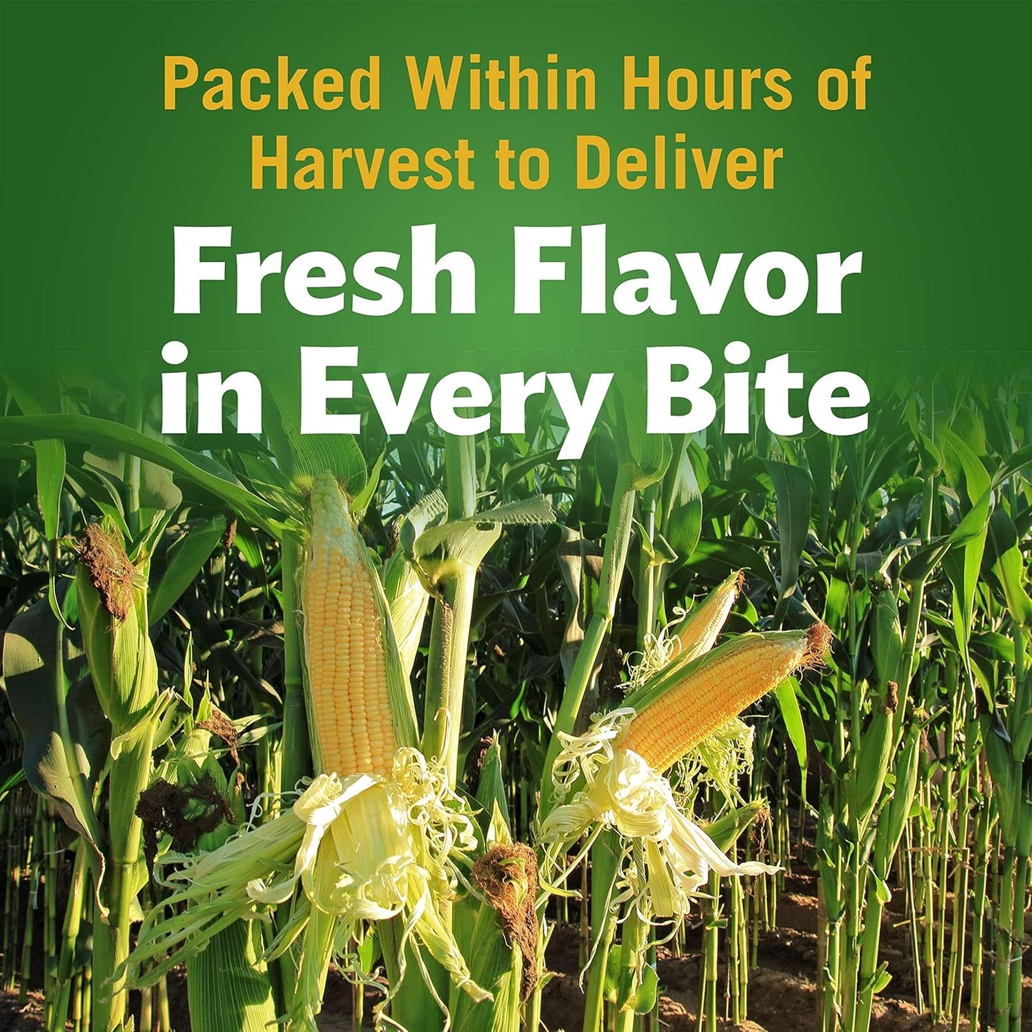 Del Monte Creamy Corn – 418 g