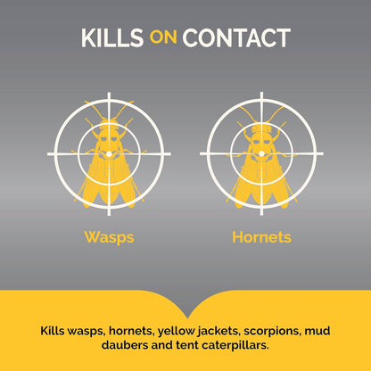 Hot Shot Wasp & Hornet Killer – 396 g