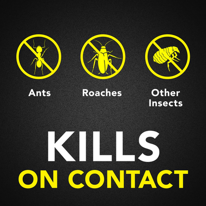 Raid Ant & Roach Killer – 496 g