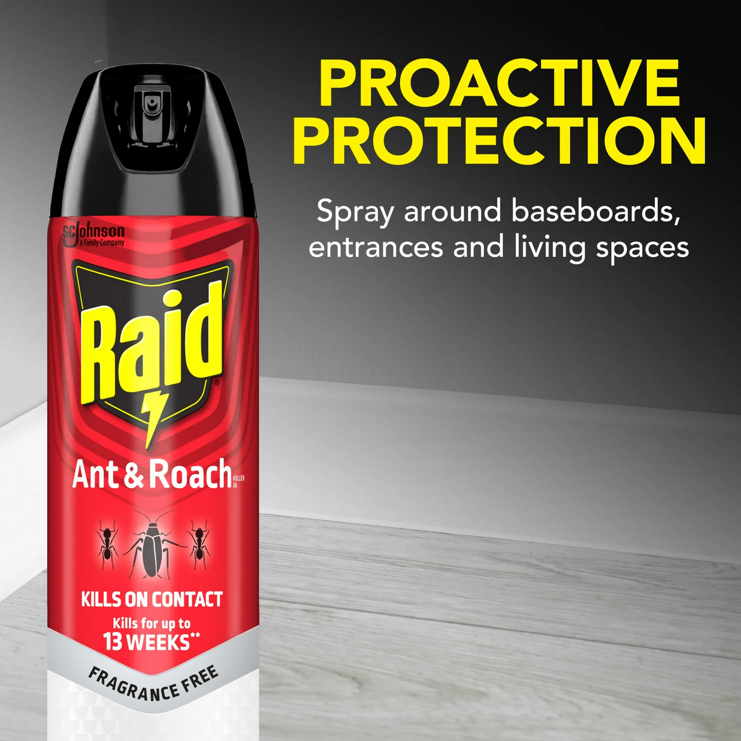 Raid Ant & Roach Killer – 496 g