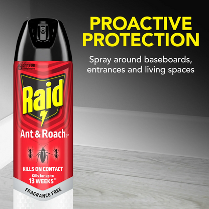 Raid Ant & Roach Killer – 496 g