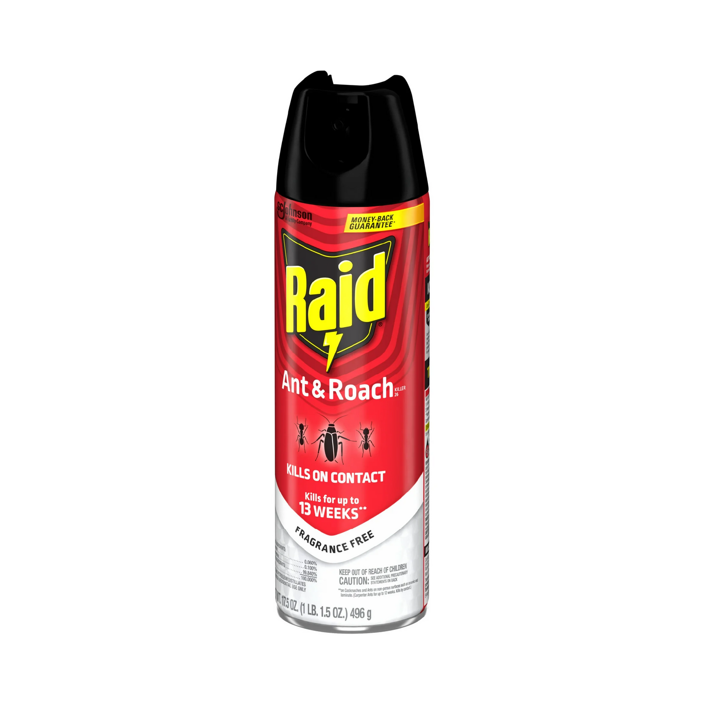 Raid Ant & Roach Killer – 496 g