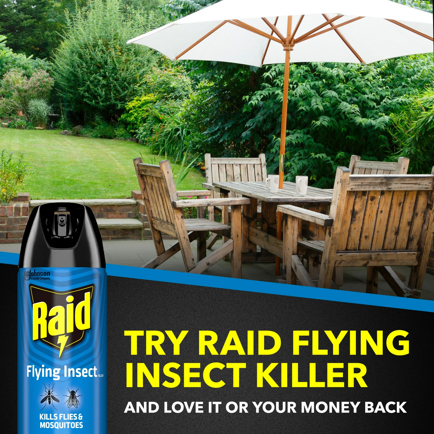 Raid Flying Insect Killer, Outdoor Fresh Scent – 425 g