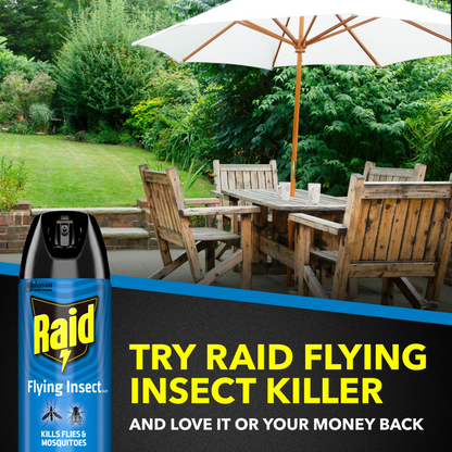 Raid Flying Insect Killer, Outdoor Fresh Scent – 425 g