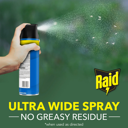 Raid Flying Insect Killer, Outdoor Fresh Scent – 425 g