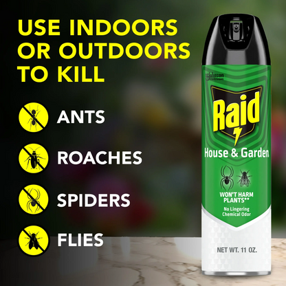 Raid House & Garden Insect Killer – 312 g