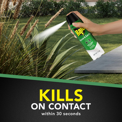 Raid House & Garden Insect Killer – 312 g