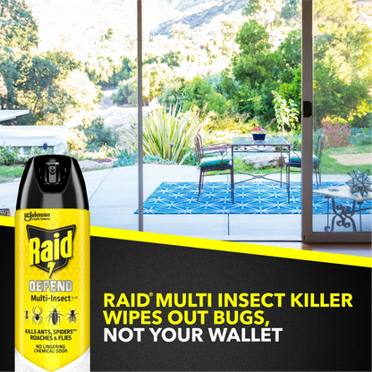 Raid Defend Multi Insect Killer – 425 g