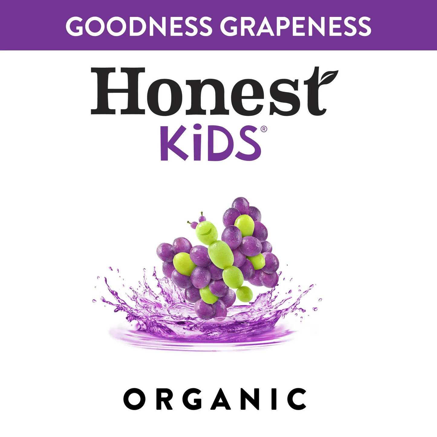 Honest Kids Goodness Grapeness Fruit Juice – 177 mL