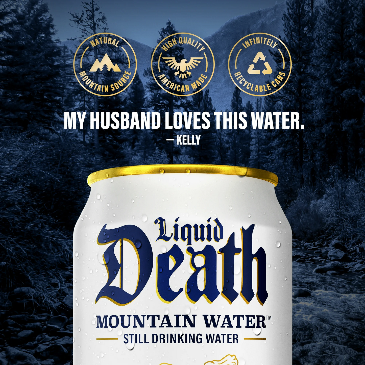 Liquid Death Still Mountain Water – 355 mL